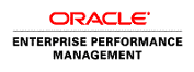 Oracle Essbase 11g