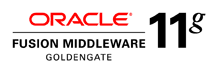 Oracle Goldengate 11g